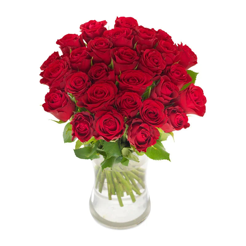 How to take care of roses when you receive on Valentine's Day