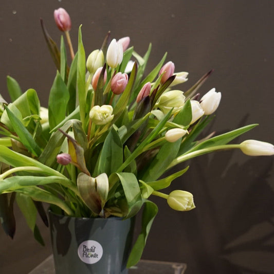 Tulip Bouquet