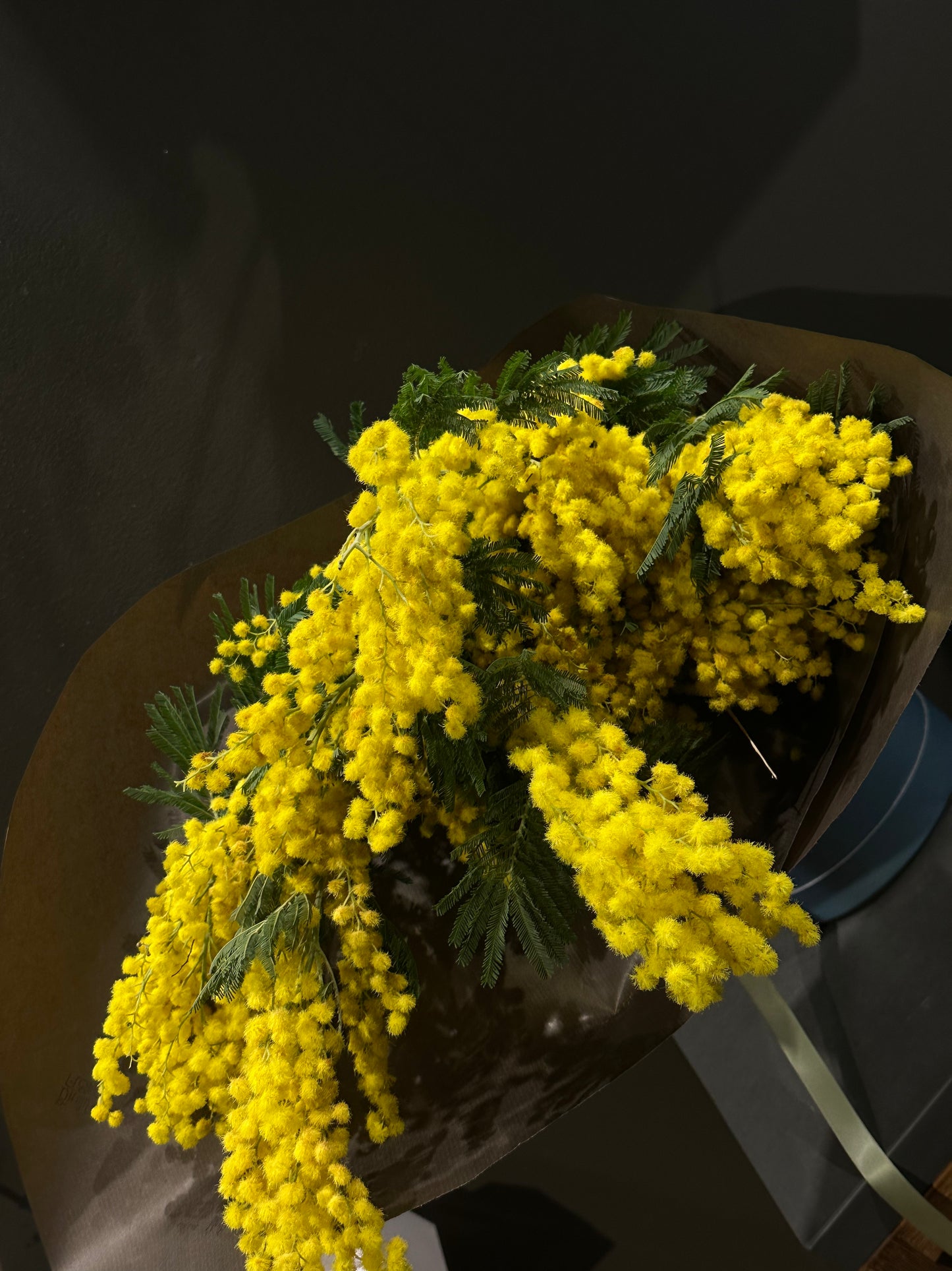 International Women’s Day Mimosa Premium Bouquet | Luxury Yellow Mimosa Flowers