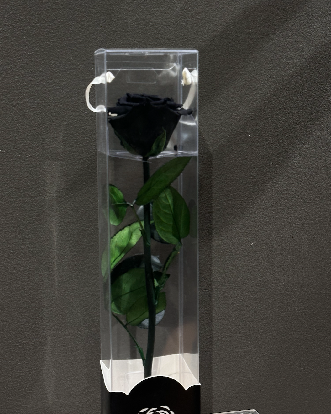 Preserved Black Rose – Halloween 2025 Special | Long-Lasting Luxury Flowers