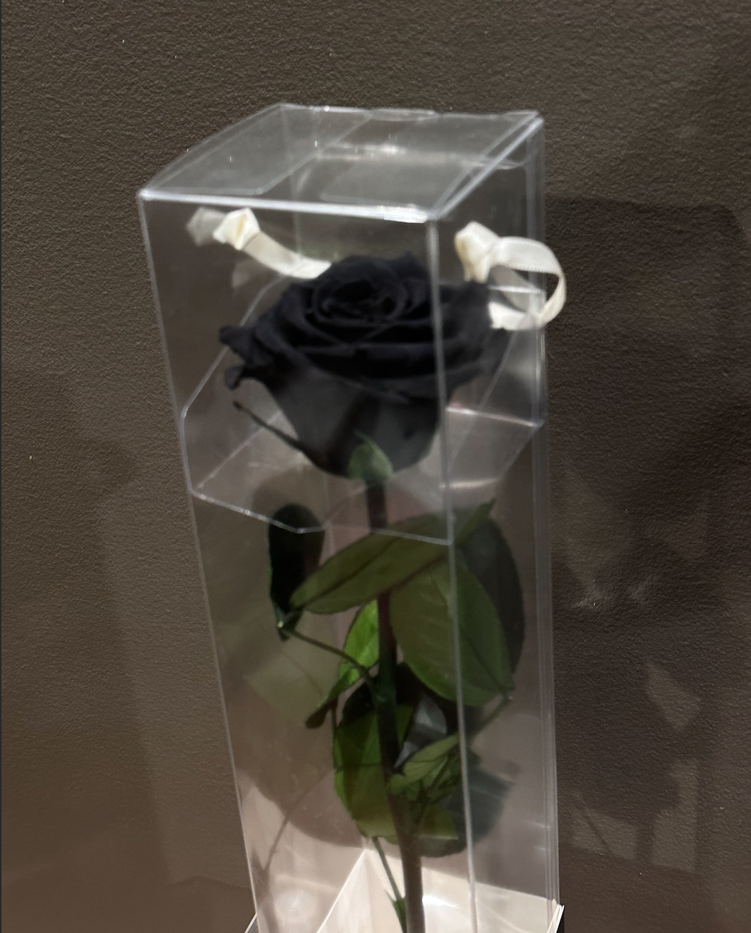 Preserved Black Rose – Halloween 2025 Special | Long-Lasting Luxury Flowers