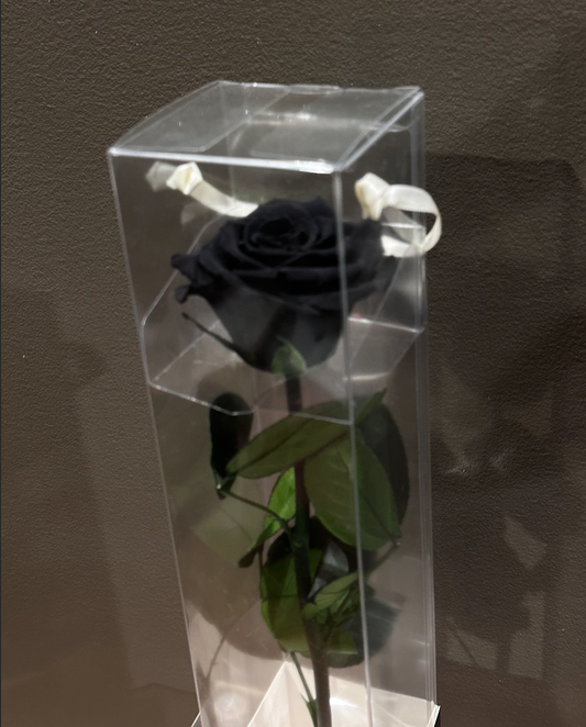 Preserved Black Rose – Halloween 2025 Special | Long-Lasting Luxury Flowers