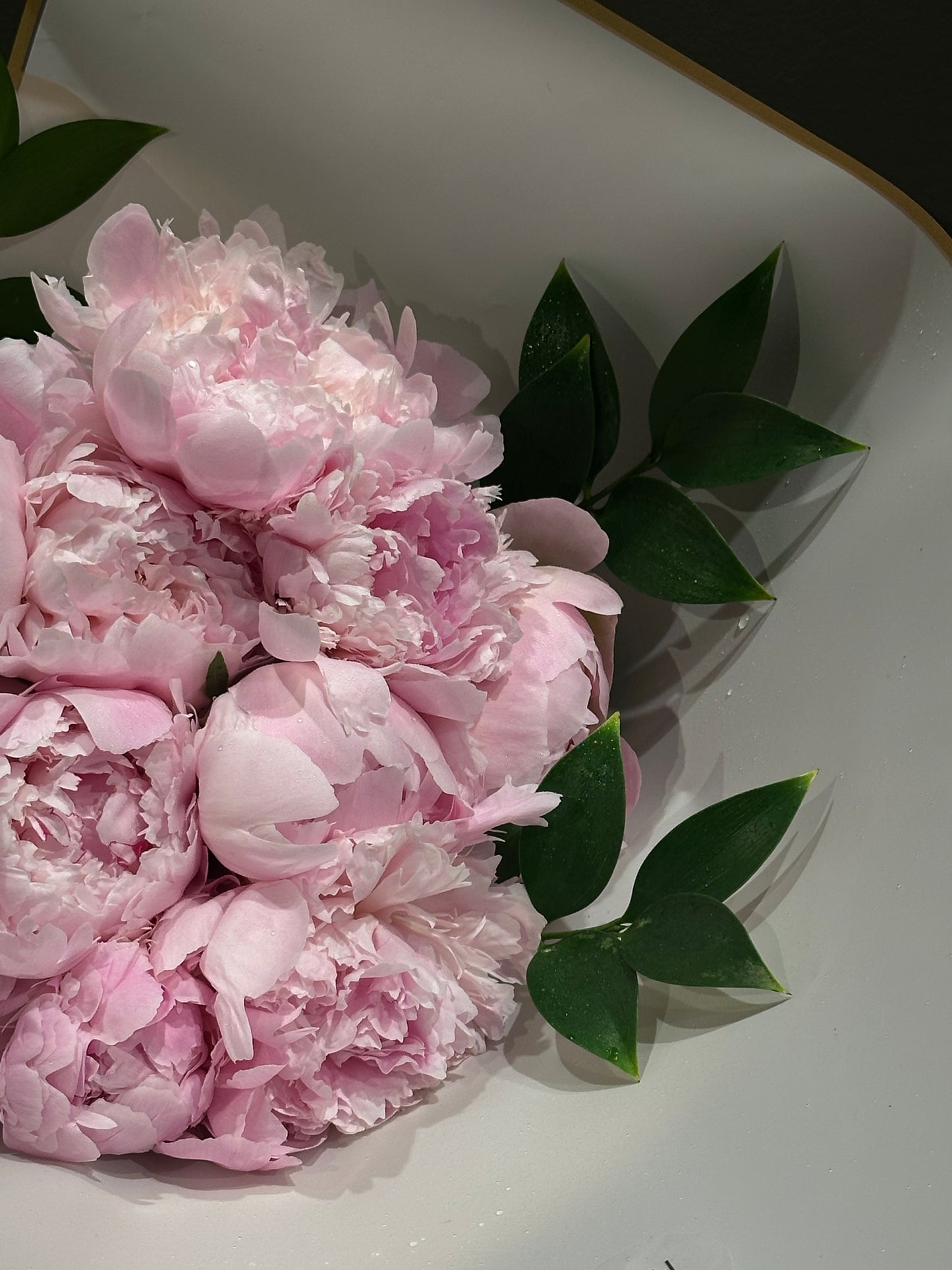 MD 2602 Italian Peony 15 – Lightening Pink (10 stems)