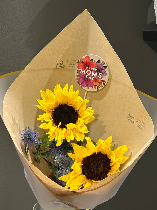 Sunflower 2+1 Super Nova Set- Cat Free