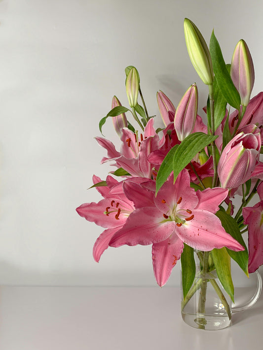Serenity Lily